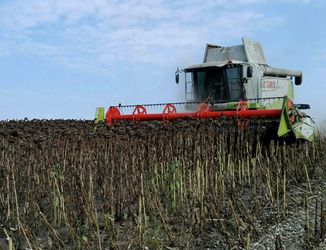 «Бучачагрохлібпром» на 20% збільшив врожайність соняшника та сої
